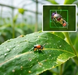 Concept visualization of camera-based insect monitoring on greenhouse foliage